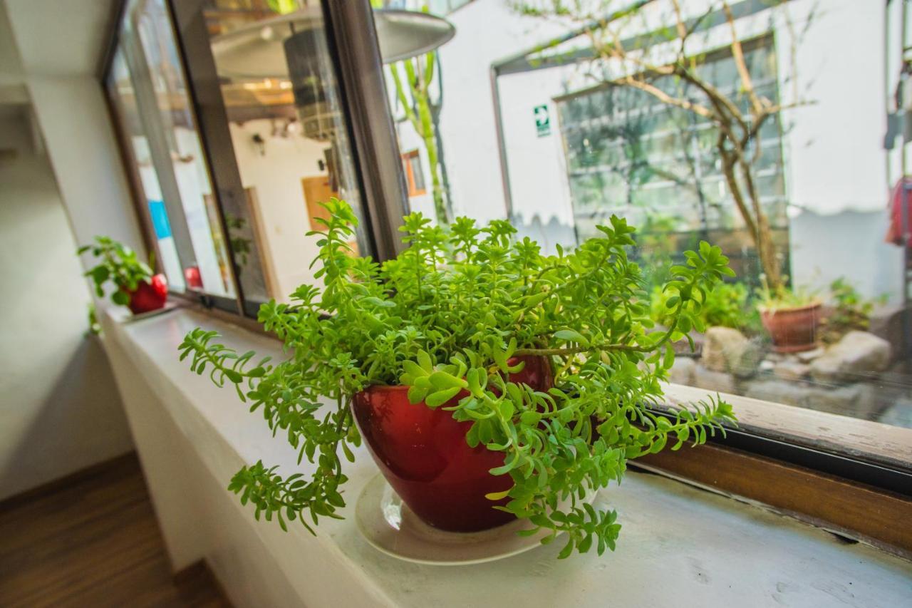Tucan Hostel Cusco Ngoại thất bức ảnh